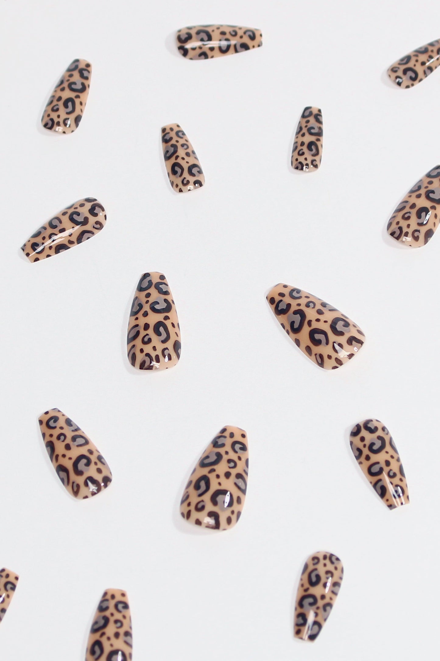 Urban Jungle | Soft & Durable Press-On Nails